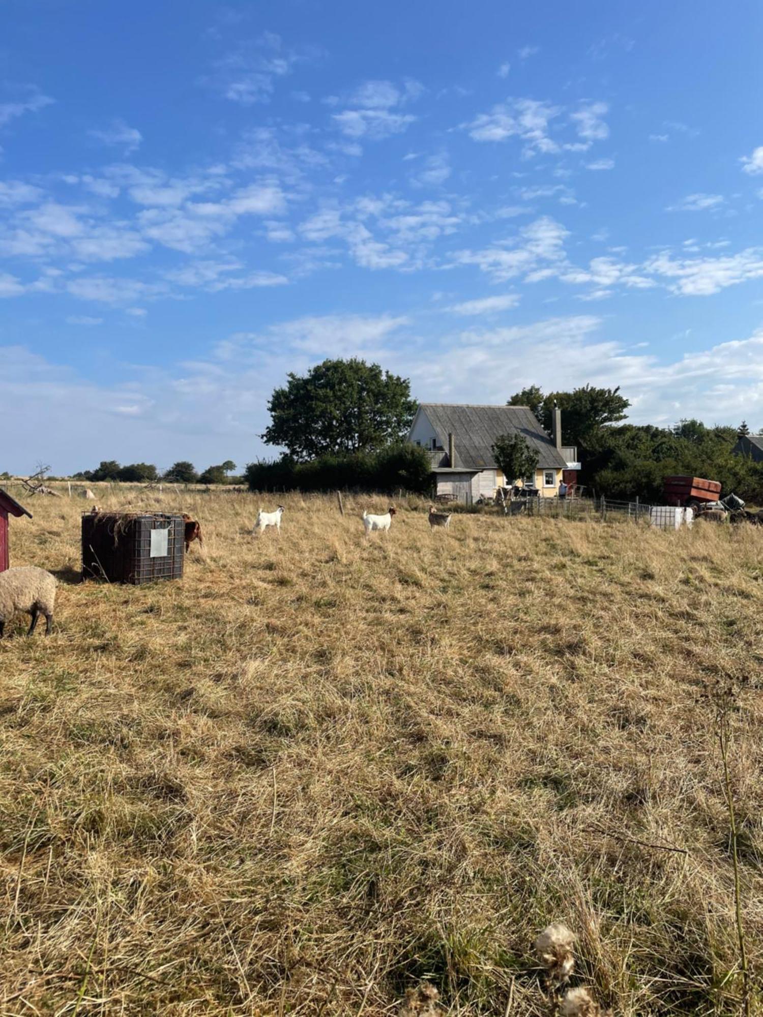 Oestermark Ærøskøbing Екстериор снимка